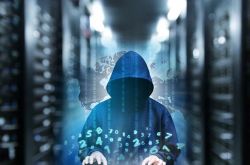（6分钟教程）西双版纳州门户网_哔哩哔哩-3